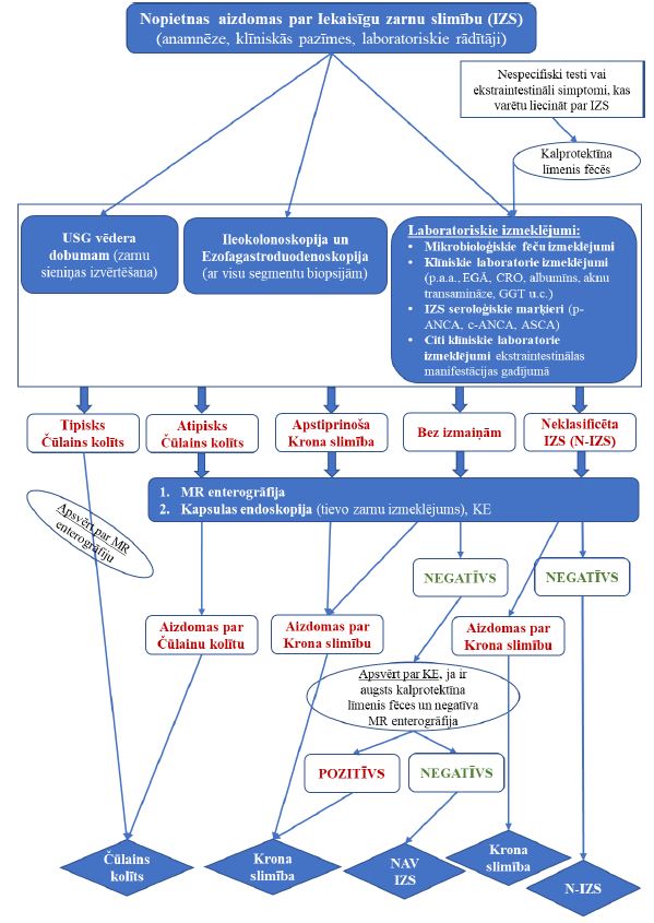 Diagnostikas algoritms specializētā klīnikā